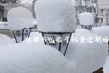 信用卡电话可以查逾期吗 信用卡电话可以查逾期吗