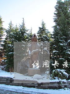 信用卡疫情时期逾期 信用卡疫情时期逾期