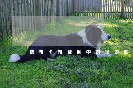信用卡疫情期间可以逾期吗