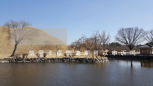 信用卡疫情逾期可以申诉吗