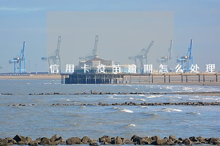 信用卡疫苗逾期怎么处理 信用卡疫苗逾期怎么处理