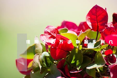 信用卡百万逾期最多判几年 信用卡百万逾期最多判几年