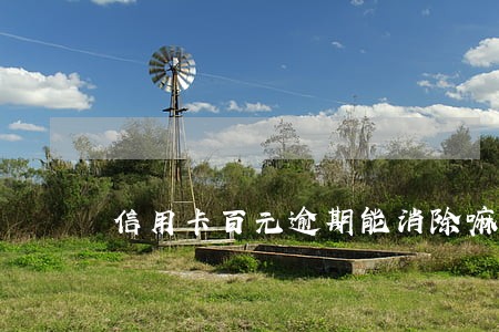 信用卡百元逾期能消除嘛