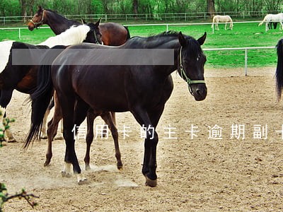 信用卡的主卡逾期副卡有影响吗 信用卡的主卡逾期副卡有影响吗