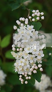 信用卡的分期和逾期的区别