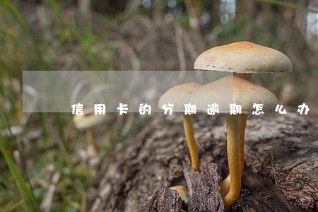信用卡的分期逾期怎么办理 信用卡的分期逾期怎么办理