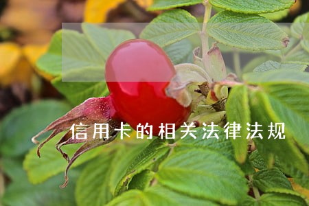 信用卡的相关法律法规 信用卡的相关法律法规