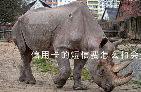 信用卡的短信费怎么扣会逾期吗 信用卡的短信费怎么扣会逾期吗