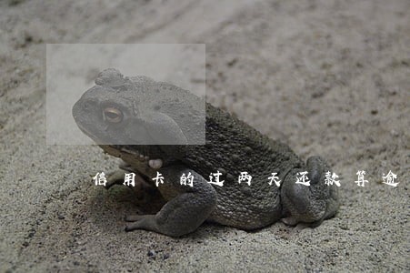 信用卡的过两天还款算逾期吗