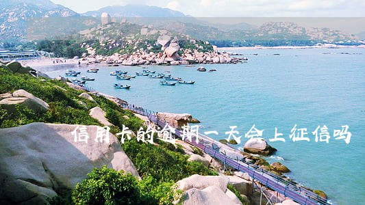 信用卡的逾期一天会上征信吗 信用卡的逾期一天会上征信吗