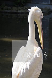 信用卡的逾期侯销户 信用卡的逾期侯销户