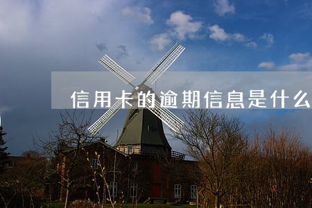 信用卡的逾期信息是什么样的