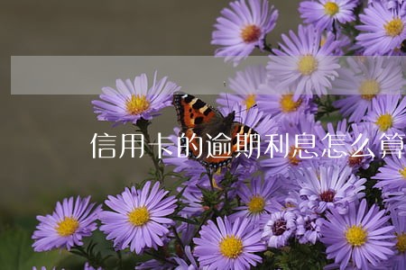 信用卡的逾期利息怎么算的 信用卡的逾期利息怎么算的