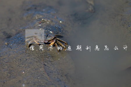 信用卡的逾期利息怎么计算 信用卡的逾期利息怎么计算
