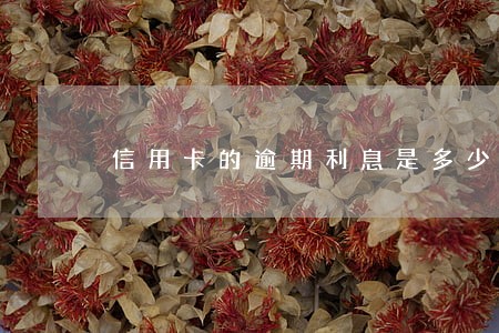 信用卡的逾期利息是多少 信用卡的逾期利息是多少
