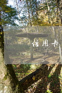 信用卡的逾期在哪里看