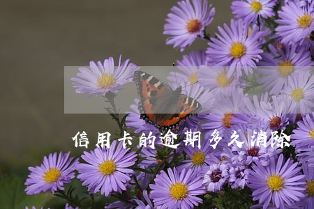 信用卡的逾期多久消除