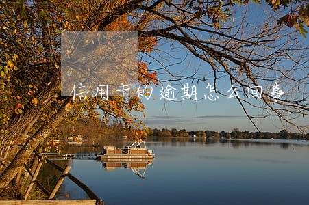 信用卡的逾期怎么回事 信用卡的逾期怎么回事