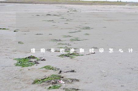 信用卡的逾期时间怎么计算 信用卡的逾期时间怎么计算