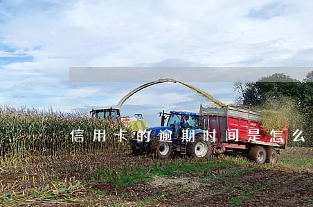信用卡的逾期时间是怎么算的 信用卡的逾期时间是怎么算的