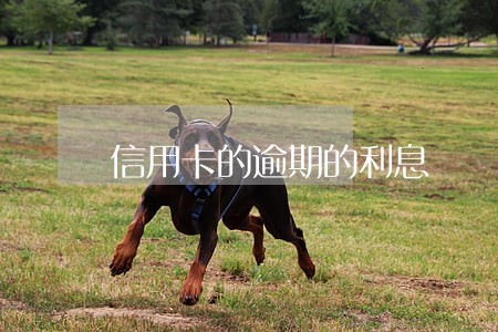 信用卡的逾期的利息 信用卡的逾期的利息