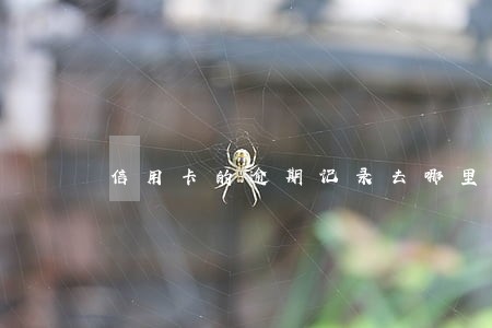 信用卡的逾期记录去哪里查询 信用卡的逾期记录去哪里查询