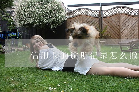信用卡的逾期记录怎么撤销 信用卡的逾期记录怎么撤销