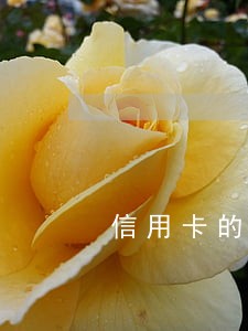 信用卡的逾期记录怎样消除 信用卡的逾期记录怎样消除