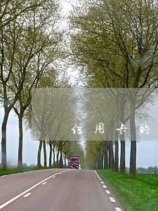信用卡的逾期费用能不还吗 信用卡的逾期费用能不还吗