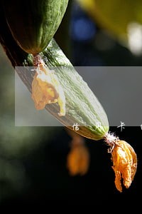 信用卡的逾期费能减免吗