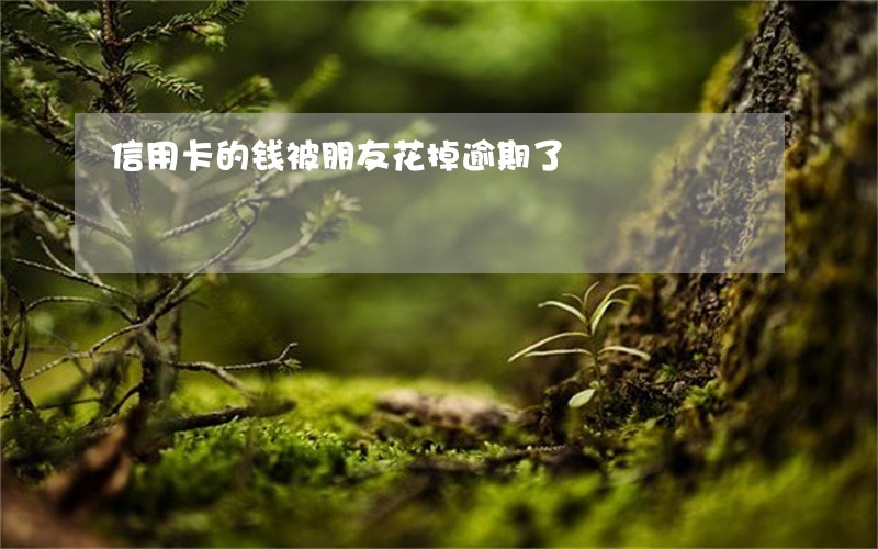 信用卡的钱被朋友花掉逾期了 信用卡的钱被朋友花掉逾期了