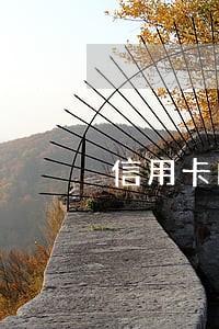 信用卡的钱逾期不还有什么后果