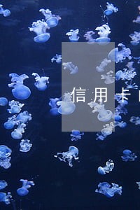 信用卡的随时还逾期没还 信用卡的随时还逾期没还