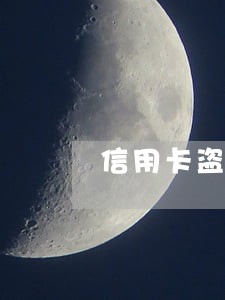 信用卡盗刷保险逾期 信用卡盗刷保险逾期