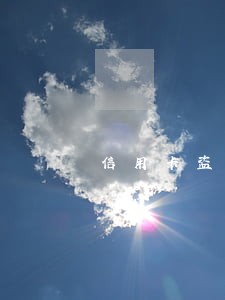信用卡盗刷导致的逾期怎么消除