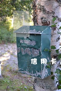 信用卡盗刷逾期征信能消除吗