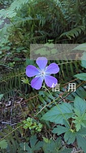信用卡短信提醒费逾期 信用卡短信提醒费逾期