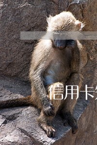 信用卡短信提醒逾期数据上报 信用卡短信提醒逾期数据上报