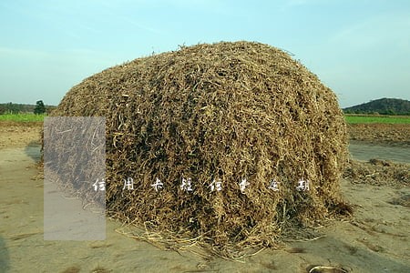 信用卡短信费逾期 信用卡短信费逾期