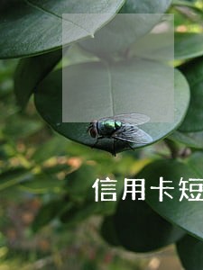 信用卡短信费逾期上征信吗 信用卡短信费逾期上征信吗