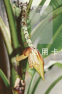 信用卡短信通知逾期了怎么办