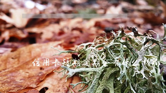 信用卡短期逾期会有什么影响