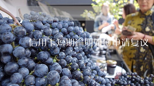 信用卡短期逾期如何申请复议