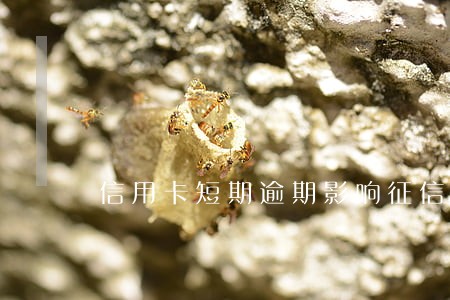 信用卡短期逾期影响征信吗 信用卡短期逾期影响征信吗