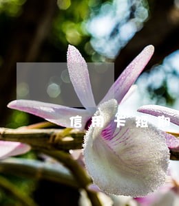 信用卡短期逾期影响房贷吗 信用卡短期逾期影响房贷吗