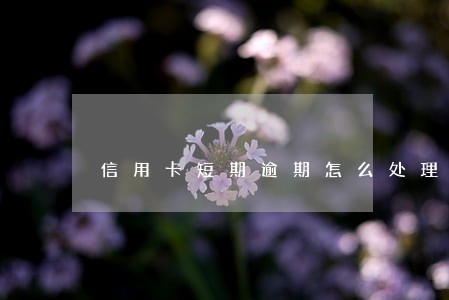 信用卡短期逾期怎么处理 信用卡短期逾期怎么处理