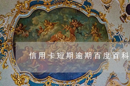 信用卡短期逾期百度百科 信用卡短期逾期百度百科