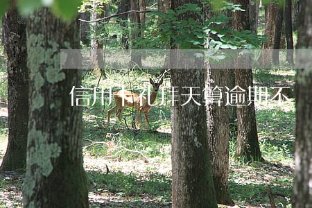 信用卡礼拜天算逾期不