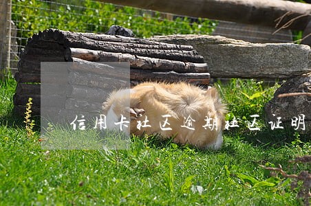 信用卡社区逾期社区证明范本 信用卡社区逾期社区证明范本