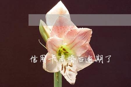 信用卡离婚后逾期了 信用卡离婚后逾期了